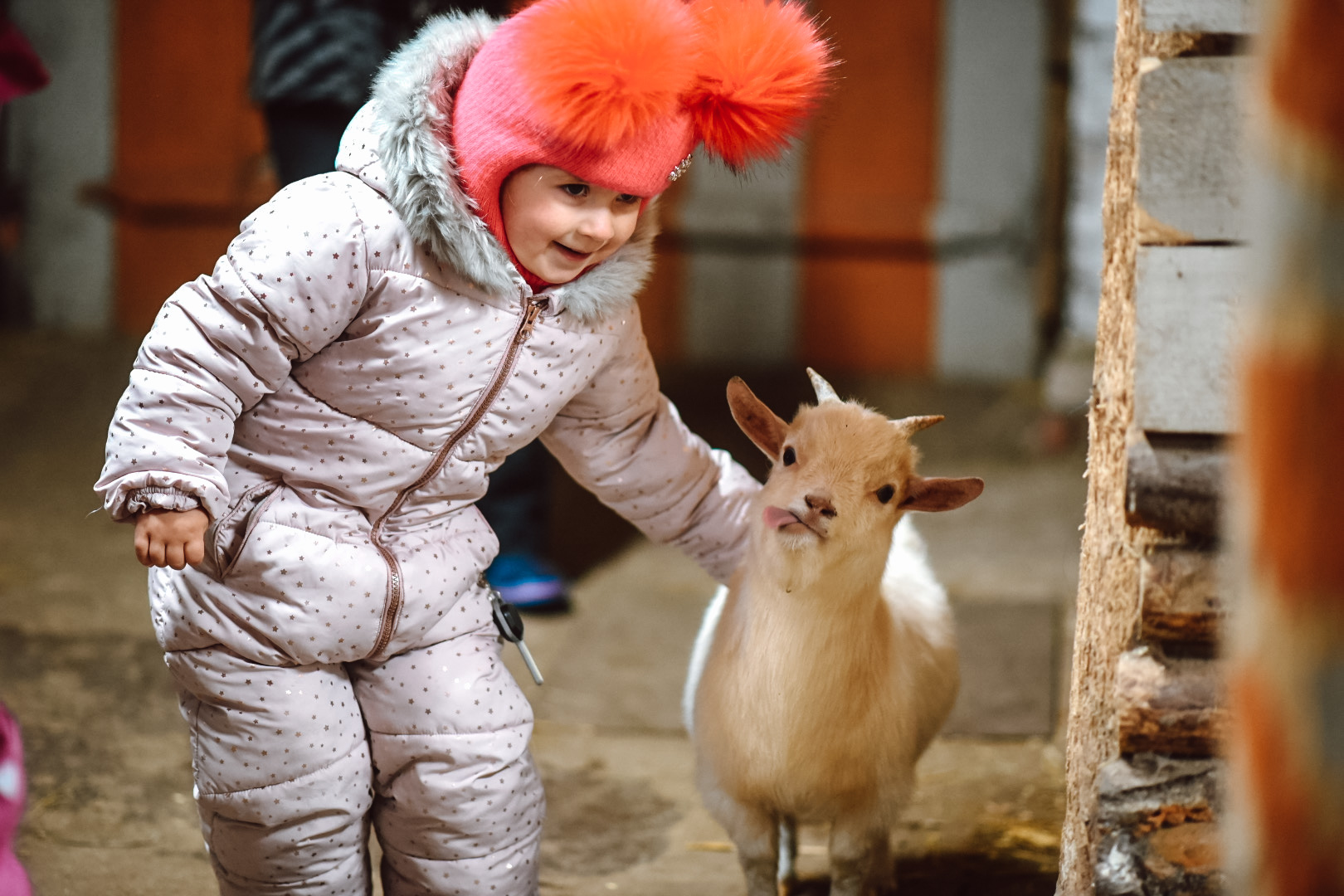 Margas Ponis žiemą