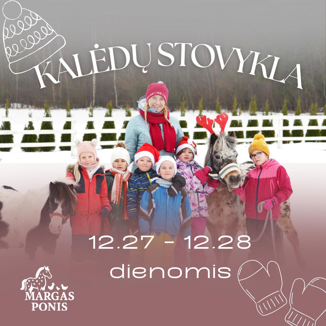 Margas Ponis Kalėdų stovykla