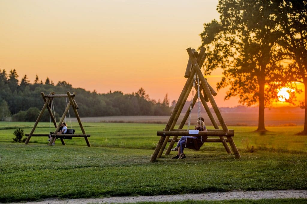 Sūpynių parkas Naisiuose (Žydrūno Budzinausko nuotr.)