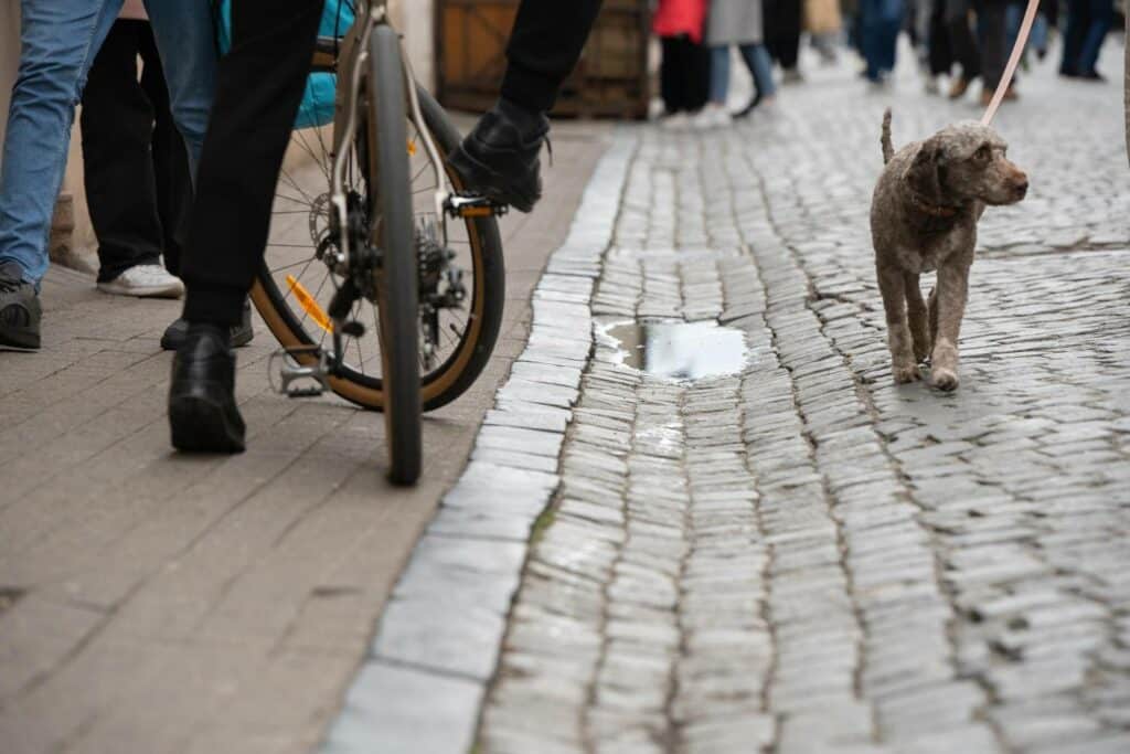 Pilies g. nubėgimo kanalai (V. Ribokaitės nuotr.)