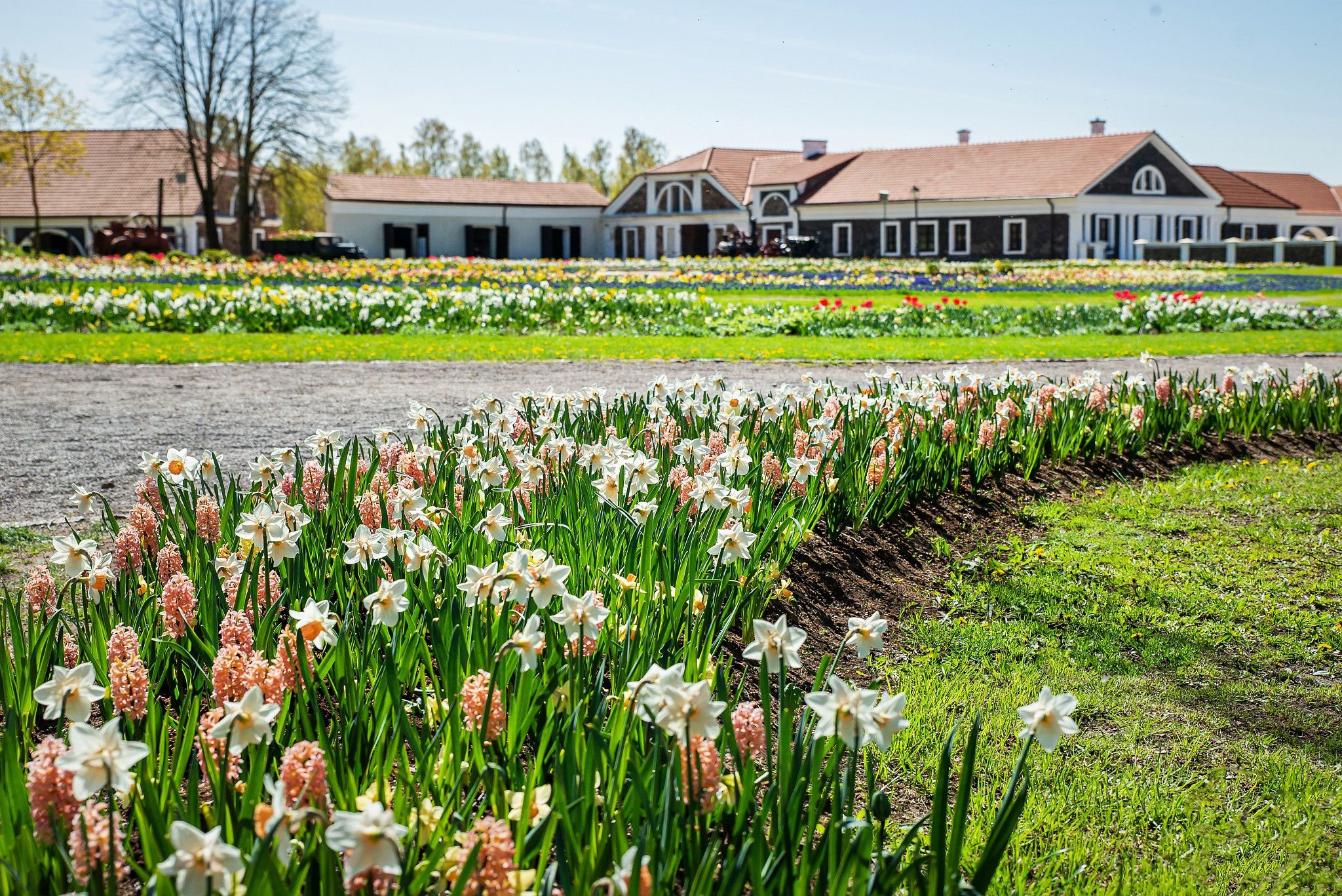 Festivalis „Renesansas“ Pakruojo dvare