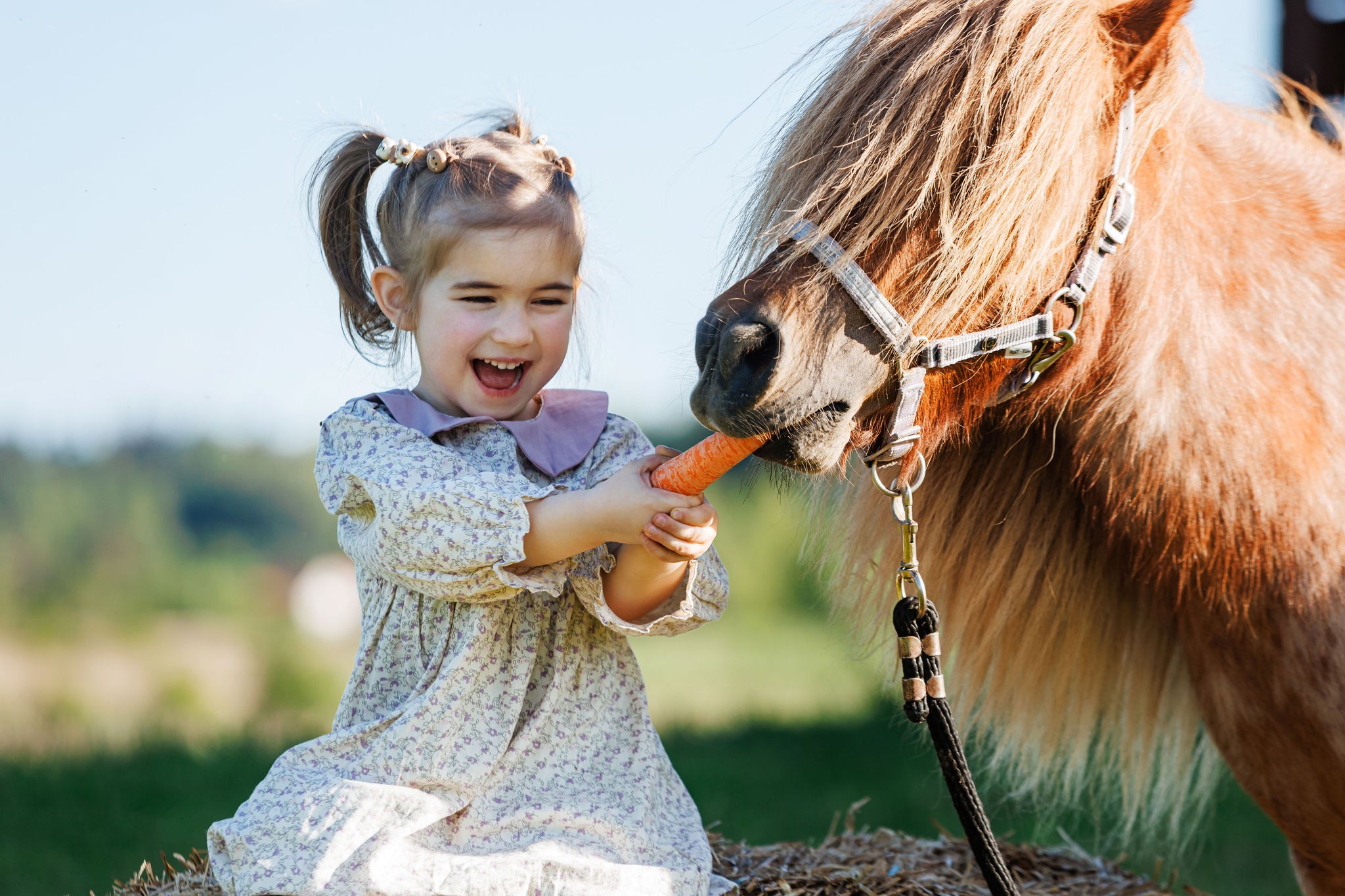 Poniukų diena ir laikas gamtoje