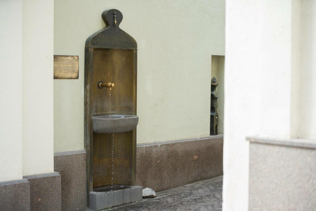 Skersvėjo šaltinis (V. Ribokaitės nuotr.)