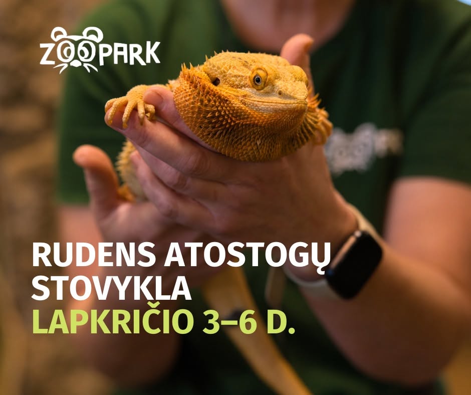 Zoopark rudens dienos stovykla Vilniuje