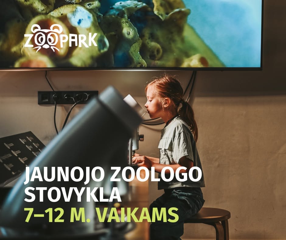 Zoopark rudens dienos stovykla Vilniuje