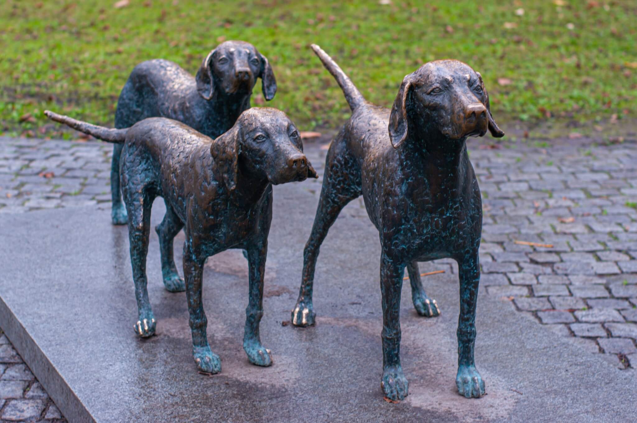 Vilniaus gatvėse pasislėpę gyvūnai: žaismingas skulptūrų maršrutas