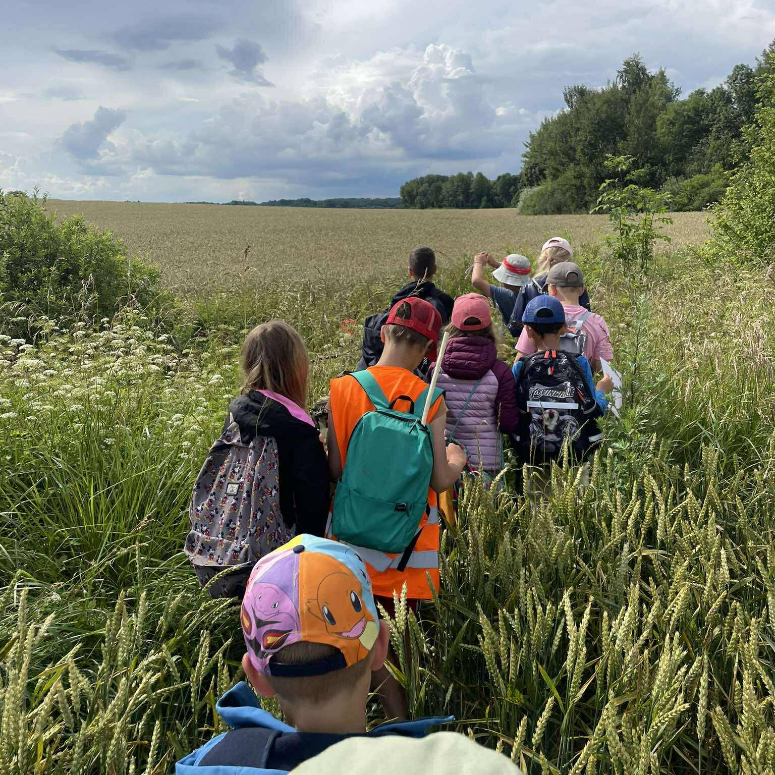 Skautų slėnio stovyklos