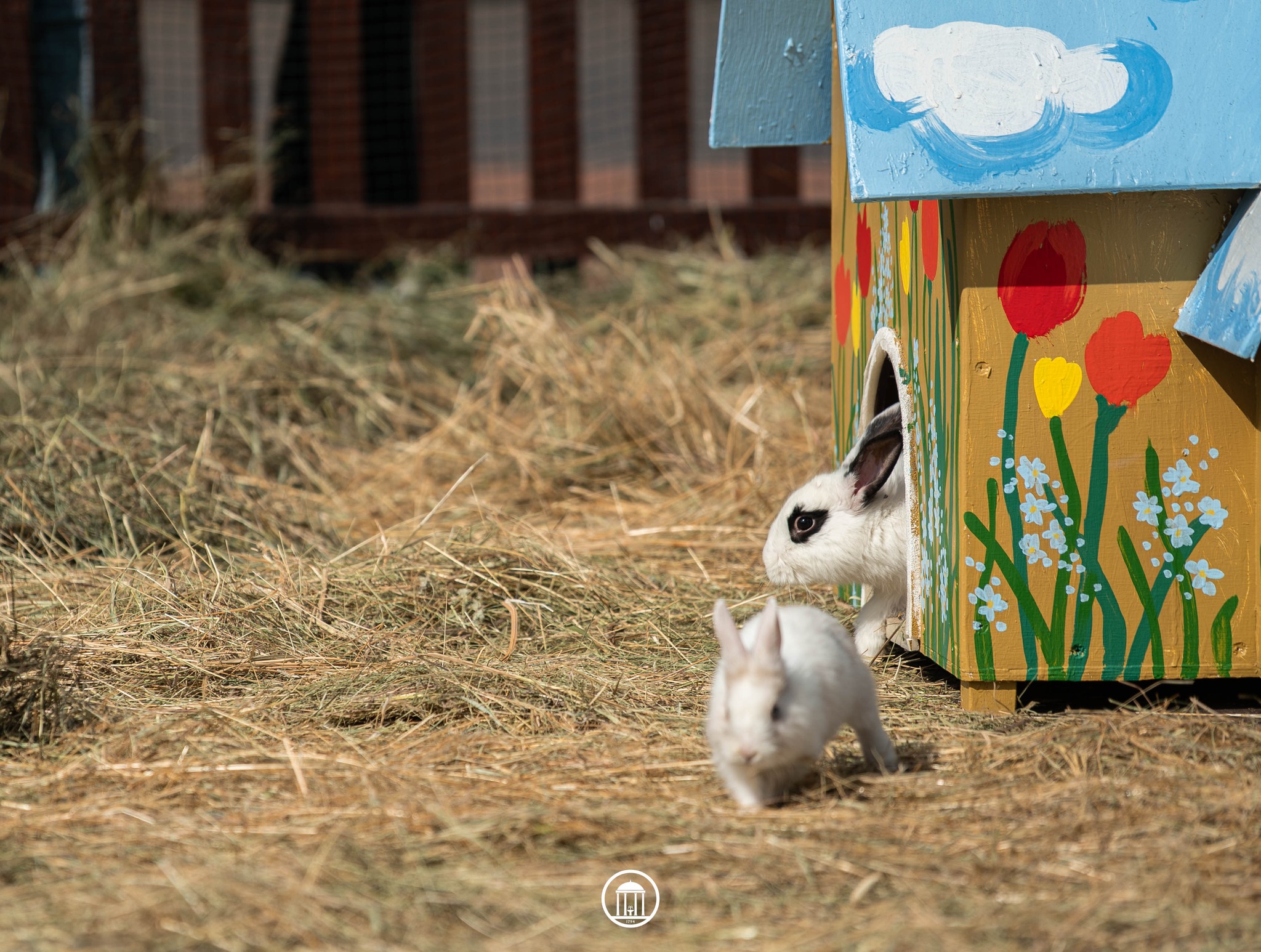 Velykiniai renginiai Druskininkuose