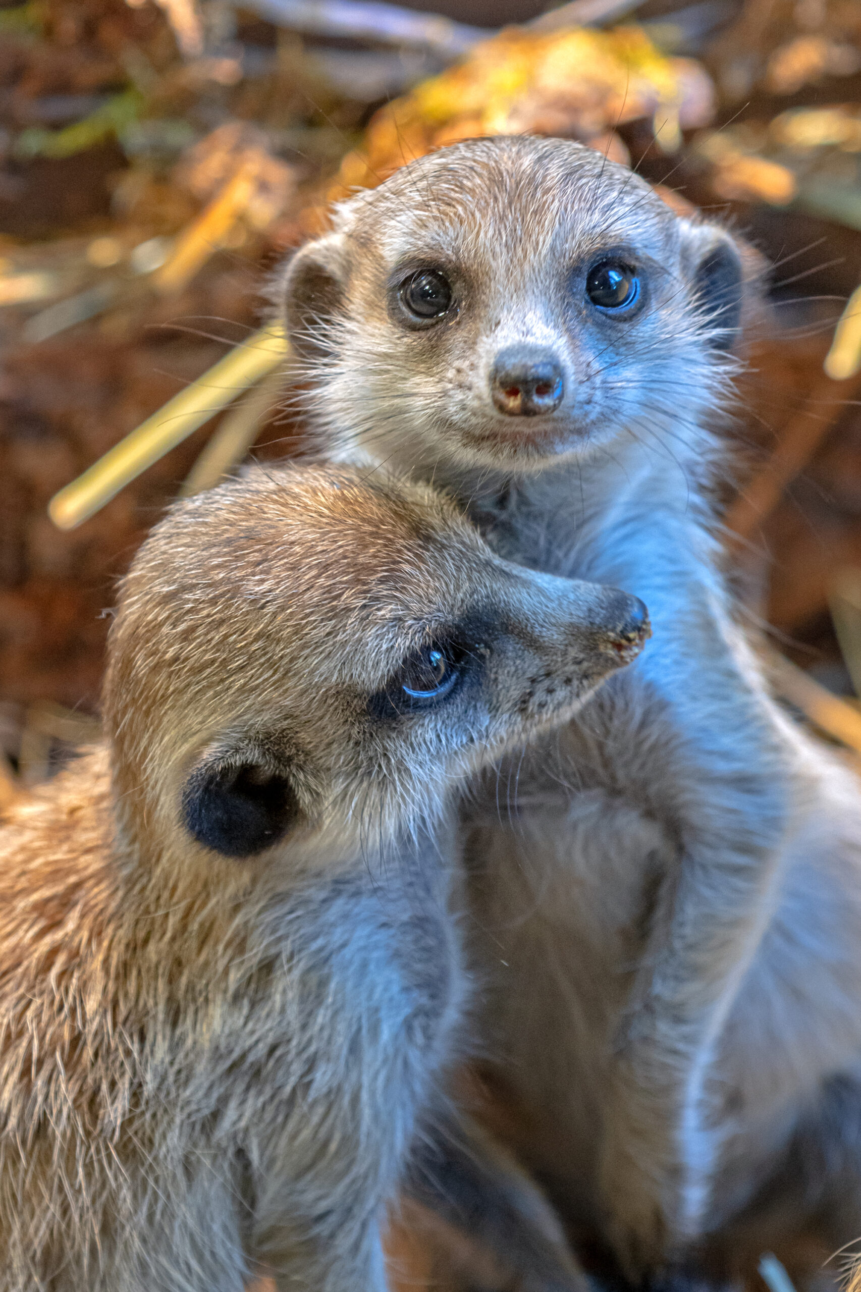 Zoopark Vilnius