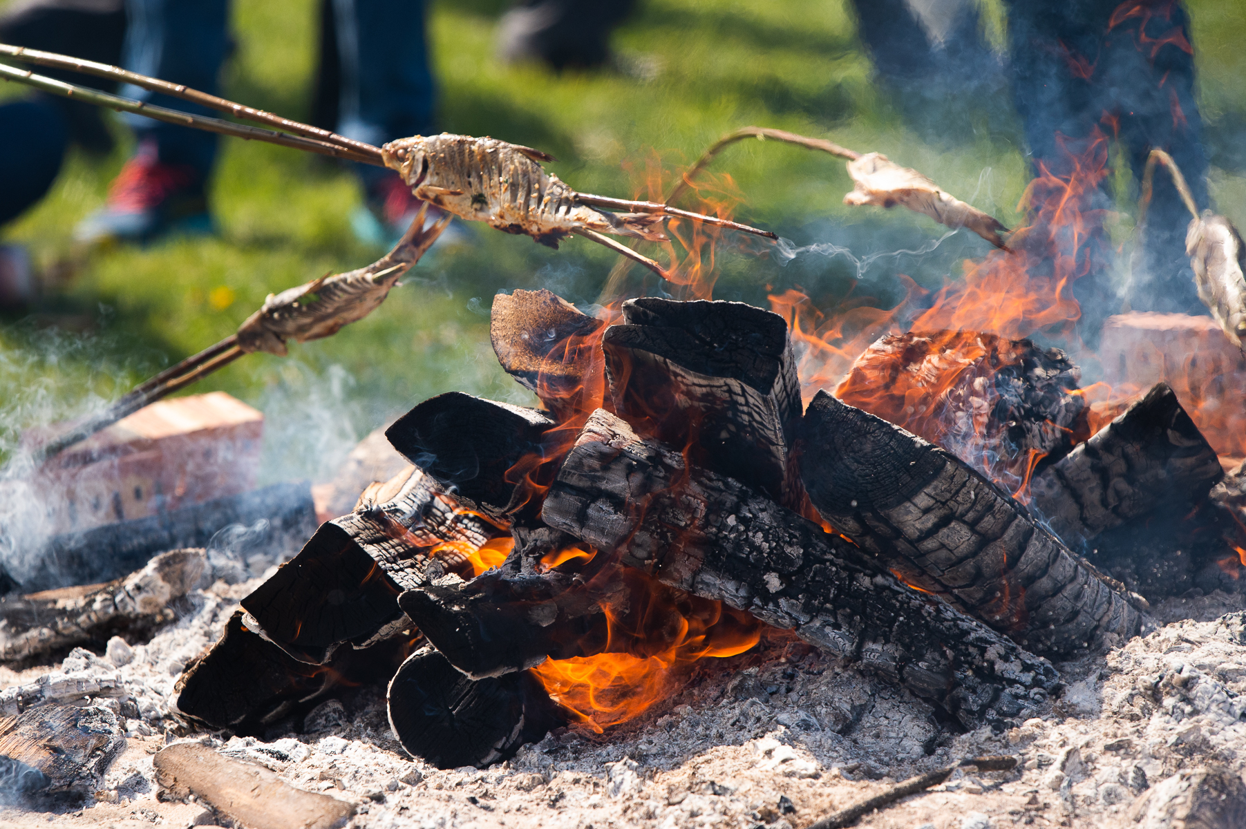 Žiobrinės Neringoje 2026: renginiai, pramogos ir tradicijos