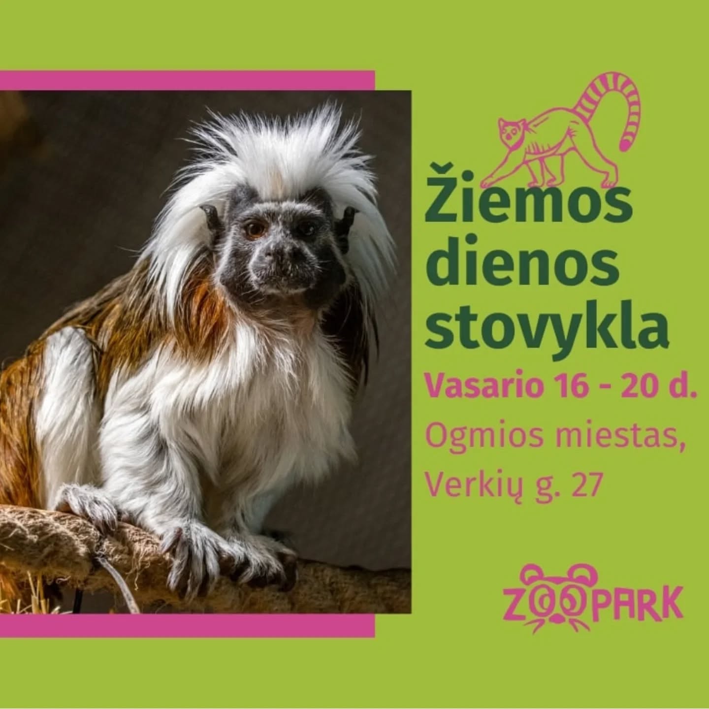 Zoopark žiemos stovykla Vilniuje