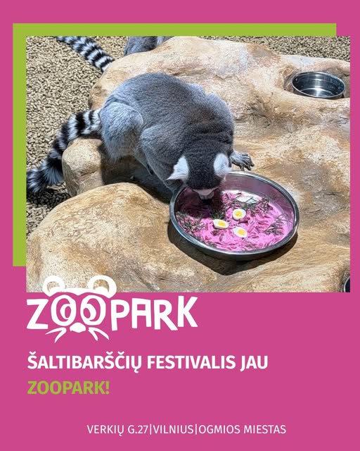 Šaltibarščių festivalis Zoopark Vilniuje