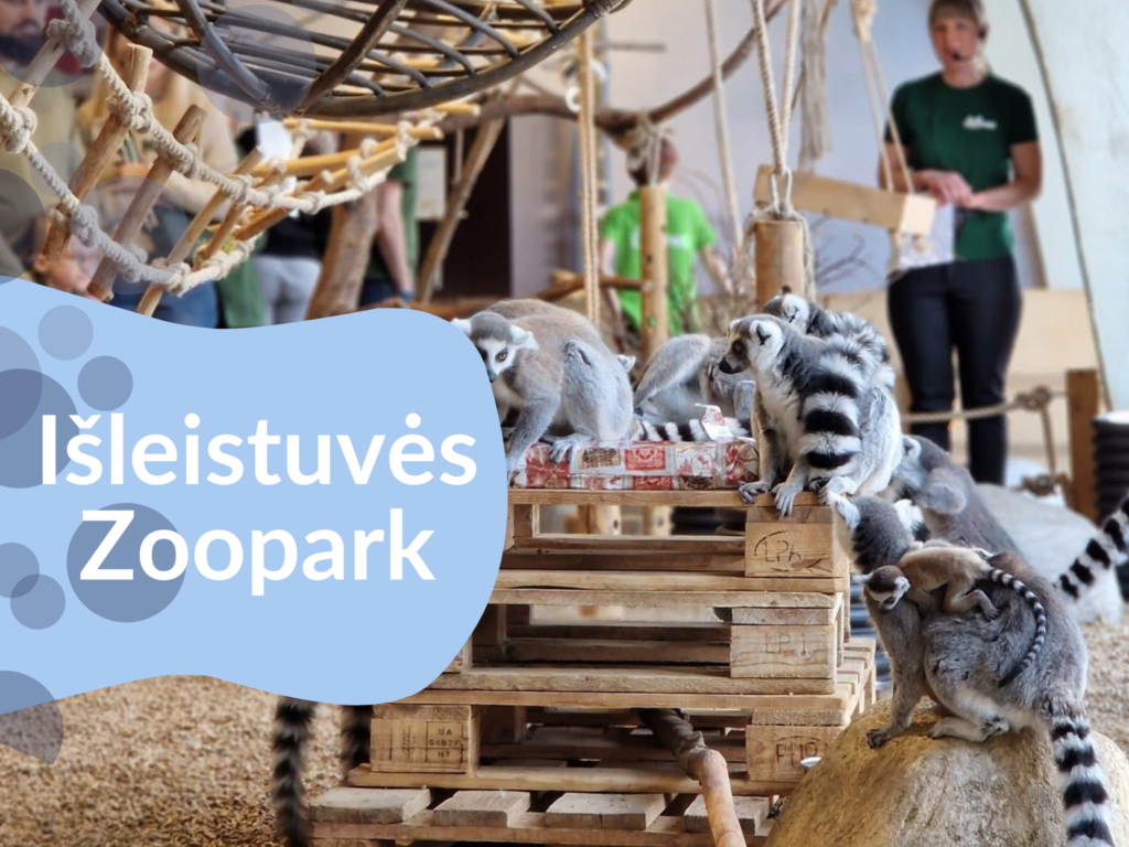 Išleistuvės su gyvūnais: nepamirštama šventė Zoopark Vilniuje ir Kaune